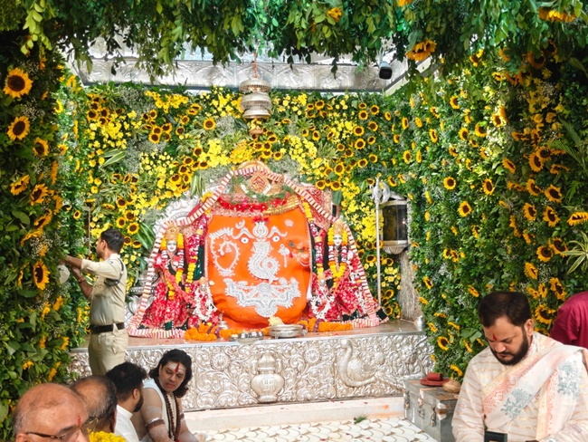 naidunia_image